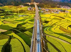 米兰体育app入口-V5血洗C9,Lehends惊艳世界