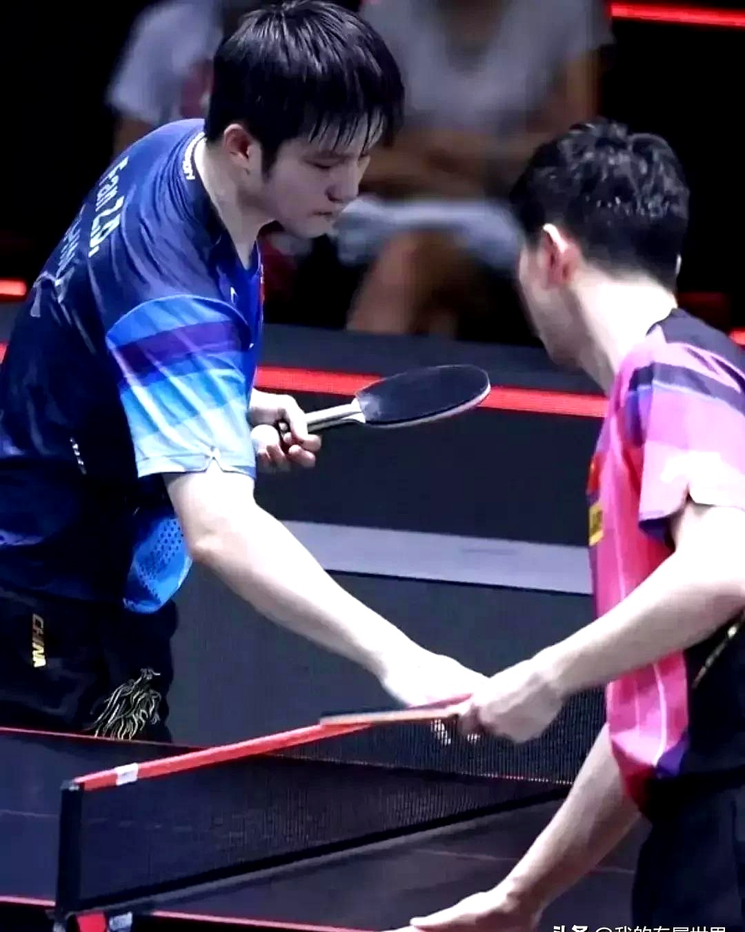米兰体育app入口-比利时乒乓球队险胜法国乒乓球队，马龙三分雨点燃全场