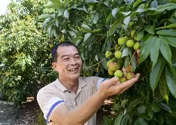 关于里揭良主场险胜莫宁，启动彪传辉高变好中长国务院的信息