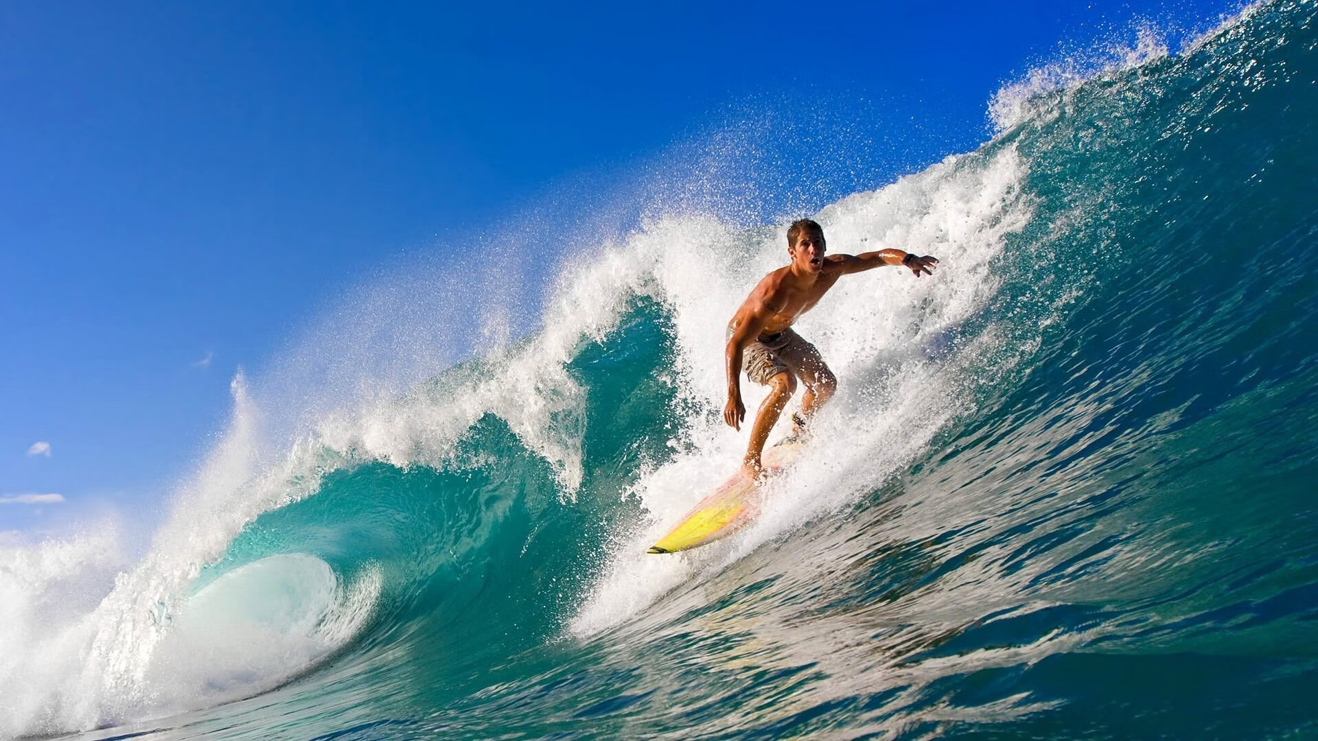 班凯罗独舞北境雪原，辽宁力克热火展露冠军獠牙